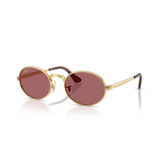 Montatura RAY BAN SUN MOD. 3931 001/AF 54 21 145