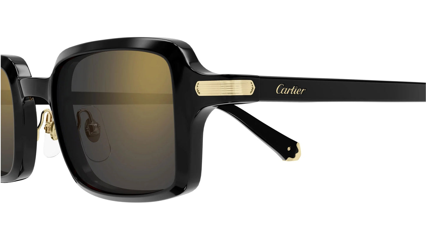 Montatura CARTIER CT0539S 001 49 22 145