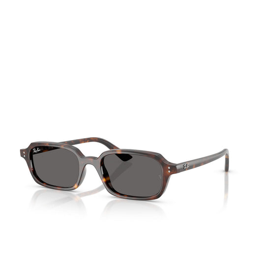 Montatura RAY BAN SUN MOD. 4455 135987 52 19 145