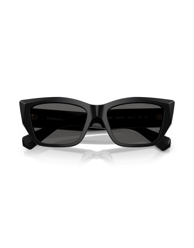 Montatura TIFFANY MOD. 4230 8001S4 54 17 140