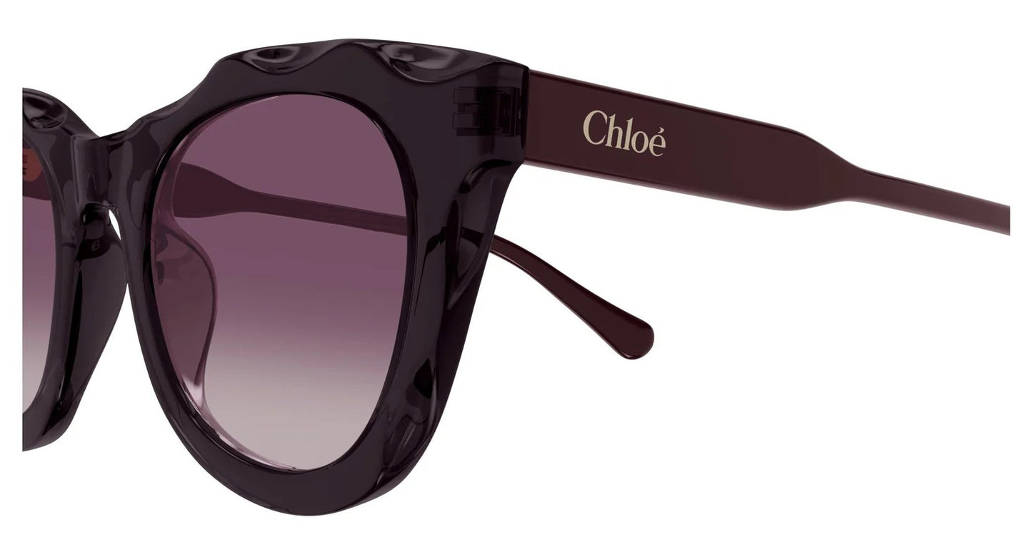Montatura CHLOÉ CH0295S 002 50 23 145