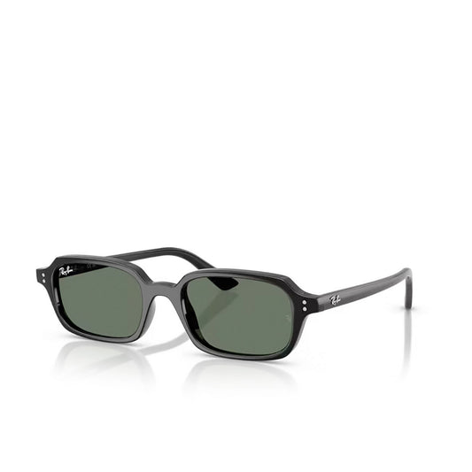 Montatura RAY BAN SUN MOD. 4455 667771 52 19 145