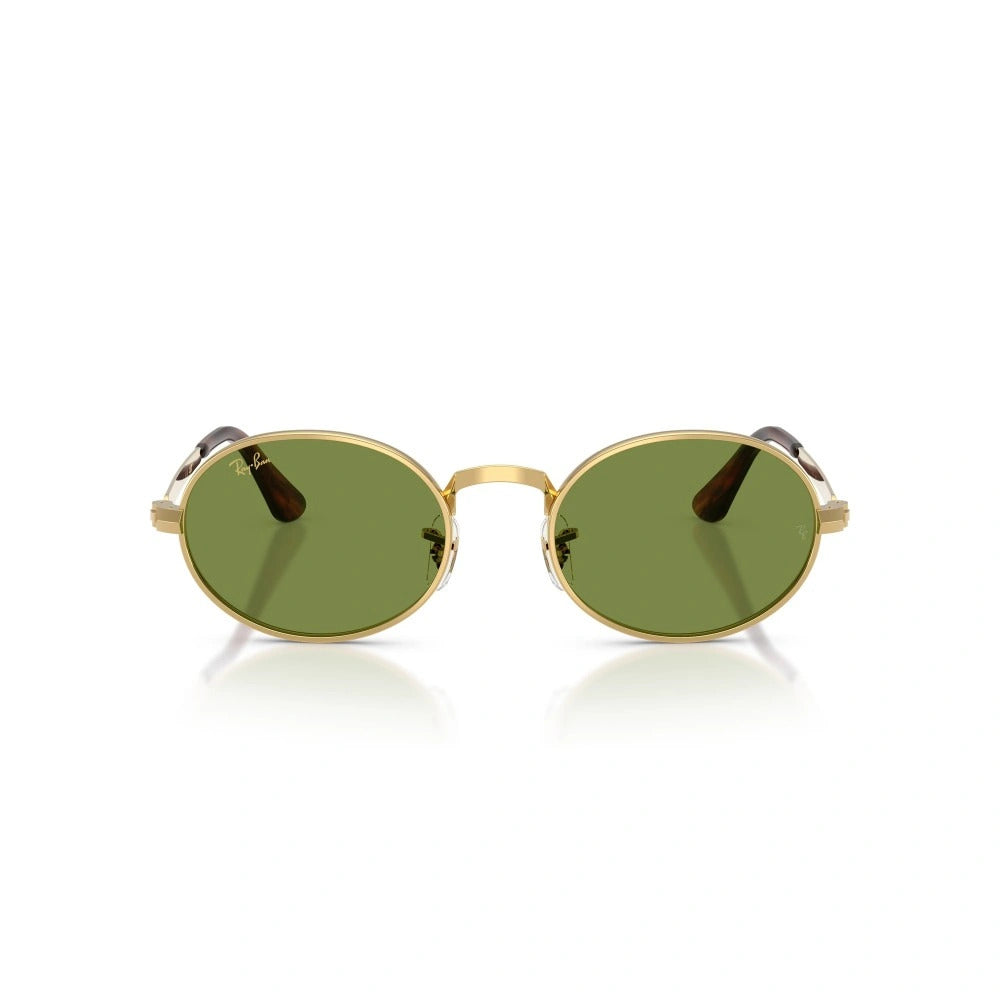 Montatura RAY BAN SUN MOD. 3931 001/4E 54 21 145