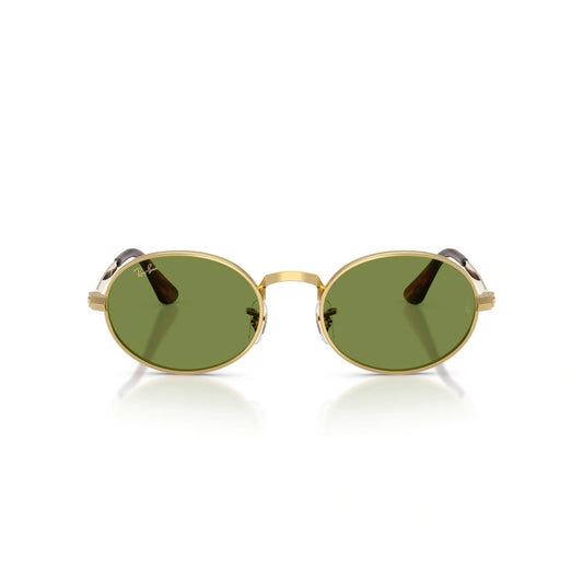 Montatura RAY BAN SUN MOD. 3931 001/4E 54 21 145
