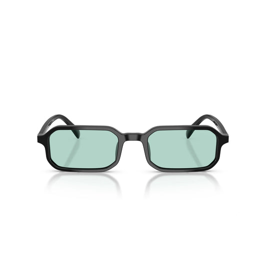 Montatura EMPORIO ARMANI MOD. 4253U 501765 54 21 145