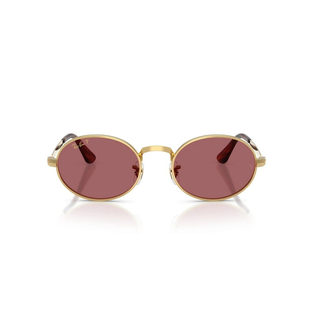 Montatura RAY BAN SUN MOD. 3931 001/AF 54 21 145