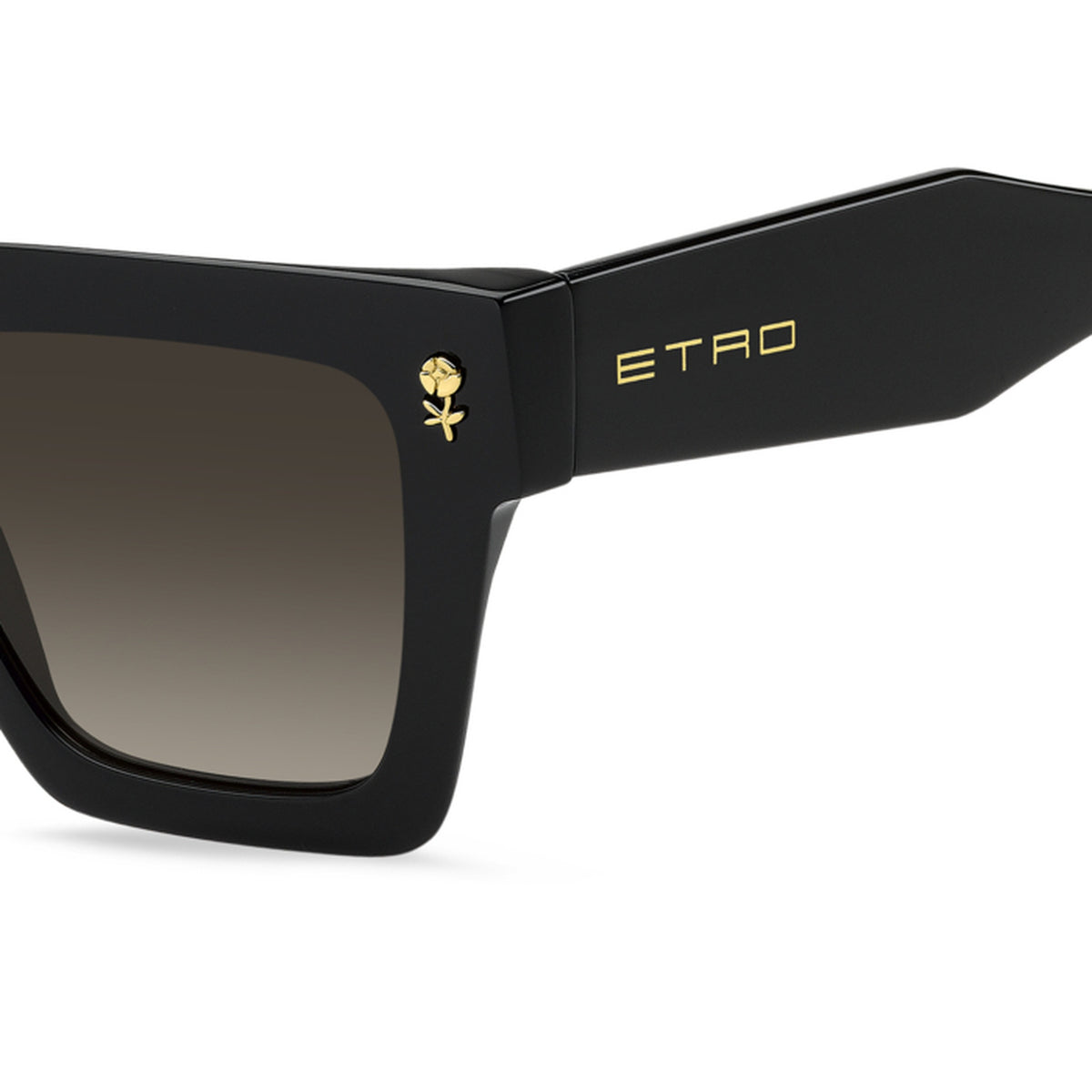 Montatura ETRO ETRO 0113/S 807 52 20 145
