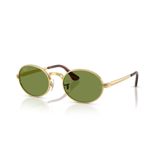 Montatura RAY BAN SUN MOD. 3931 001/4E 54 21 145